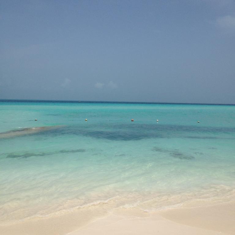 B&B Villa Hibiscus Playa del Carmen Bagian luar foto