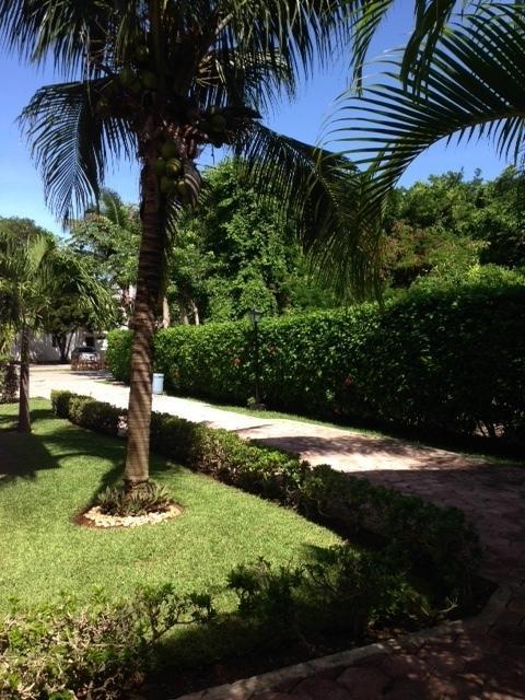 B&B Villa Hibiscus Playa del Carmen Bagian luar foto